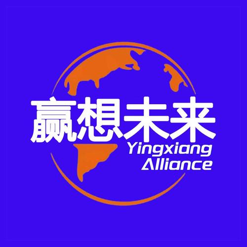 服务领域与智能化建设赋能 技术与网络服务的新篇章
